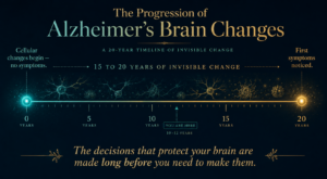 Timeline showing Alzheimer's brain changes beginning decades before diagnosis
